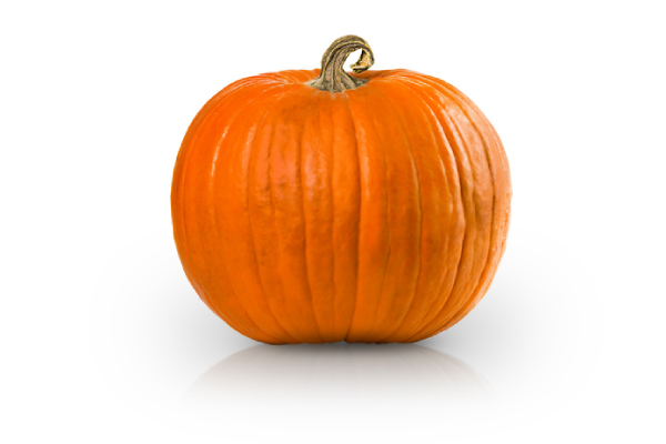 We Have a New Record for the World’s Heaviest Pumpkin