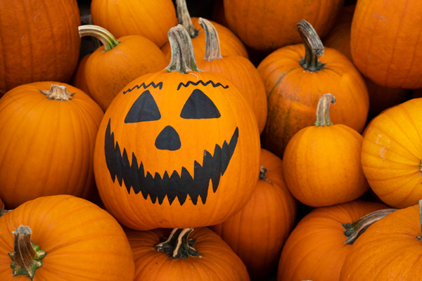 Family-Friendly Halloween Events All Around Southern Arizona