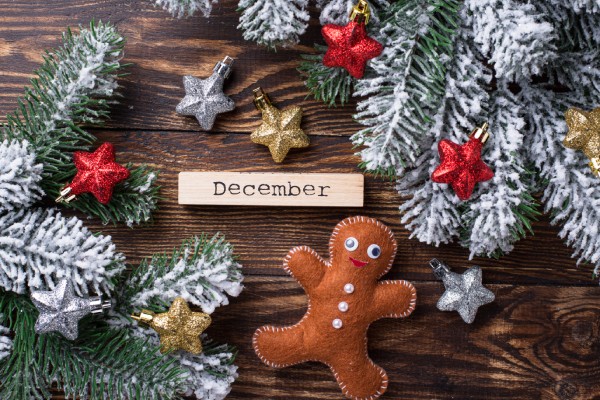 How Many of These December Things Will You Do This Month?